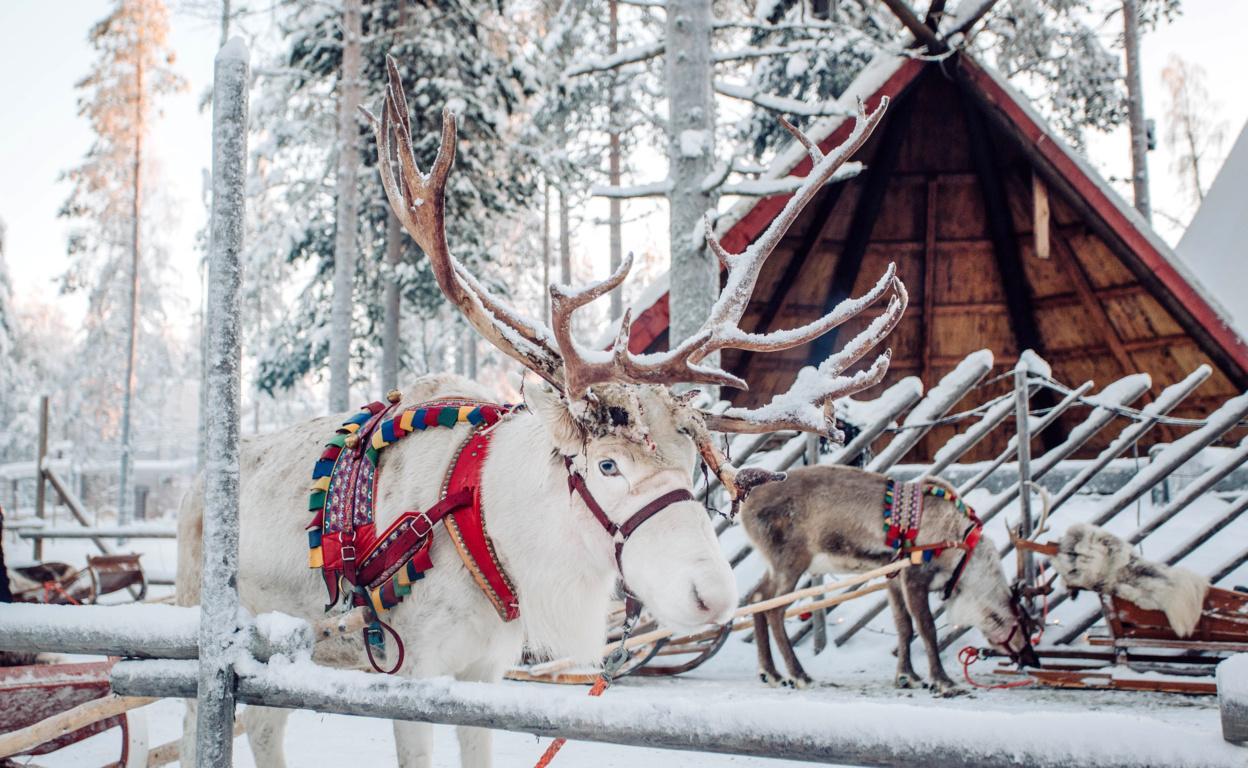 Magical Finland: Santa Claus Express Adventure