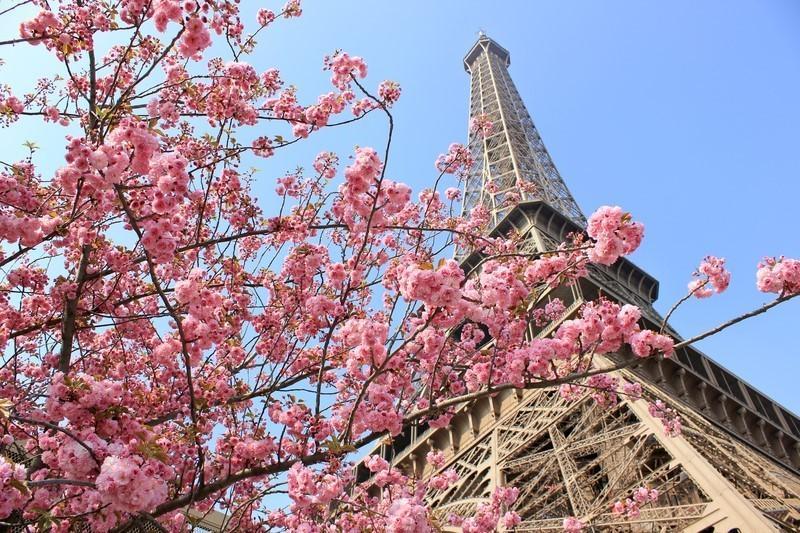 Amsterdam & Paris