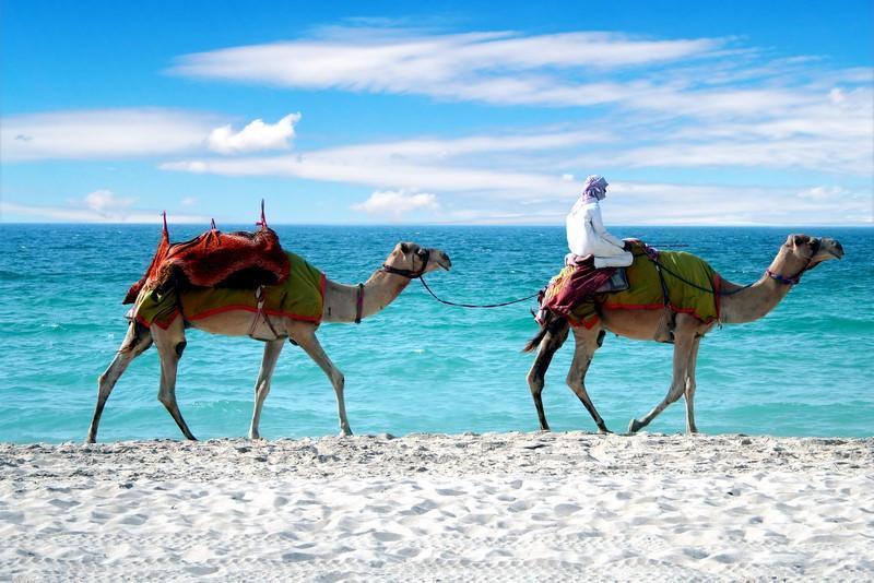 Dubai Vacation Experiences