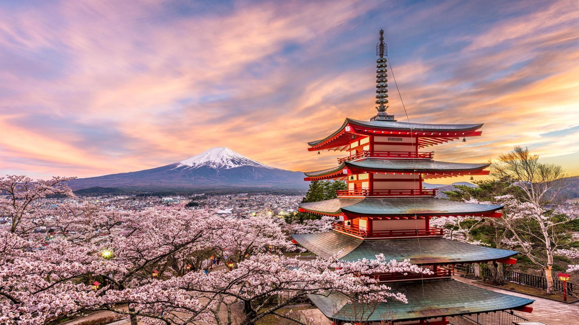 Epic Japan: Speed Trains & Street Food
