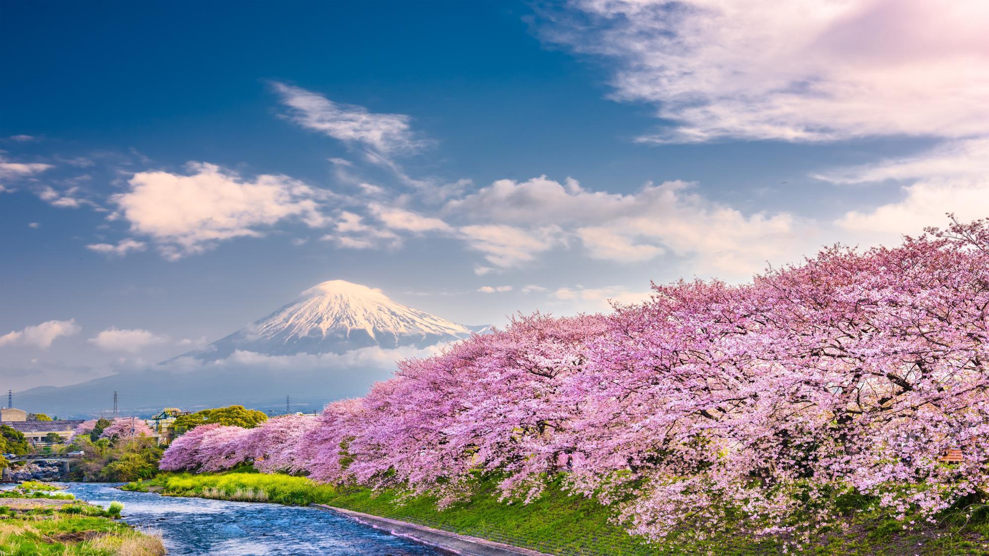 Asian Wonders Journey Japan,Korea & China