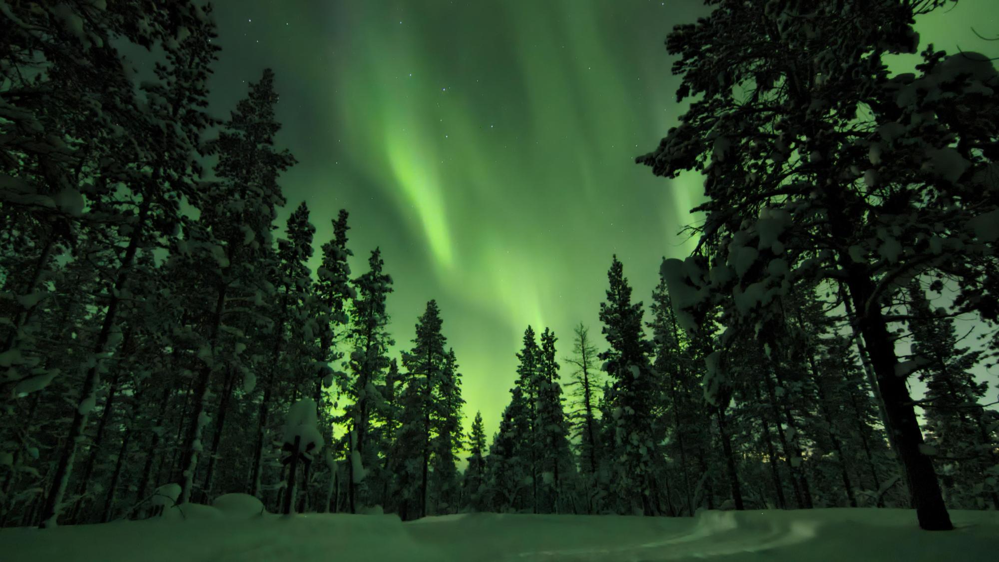 Chase the Northern Lights: Aurora Escape to Ivalo, Finland